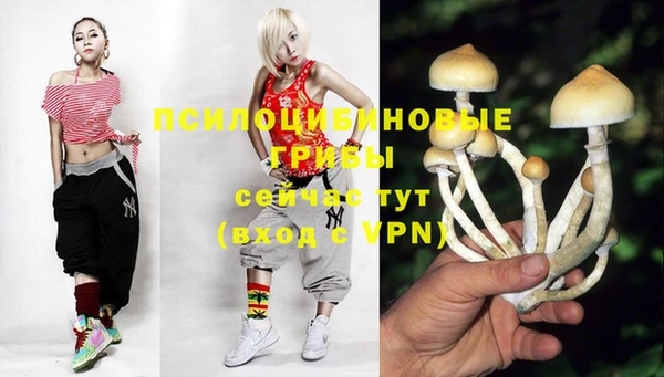 экстази Сатка