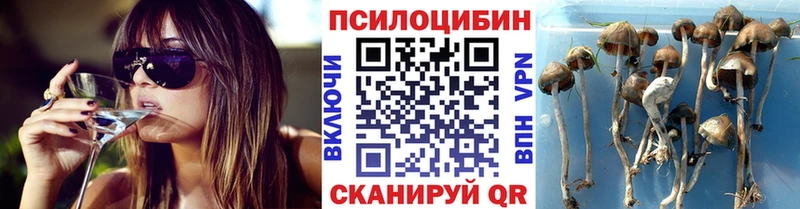 Псилоцибиновые грибы мухоморы  Таштагол 